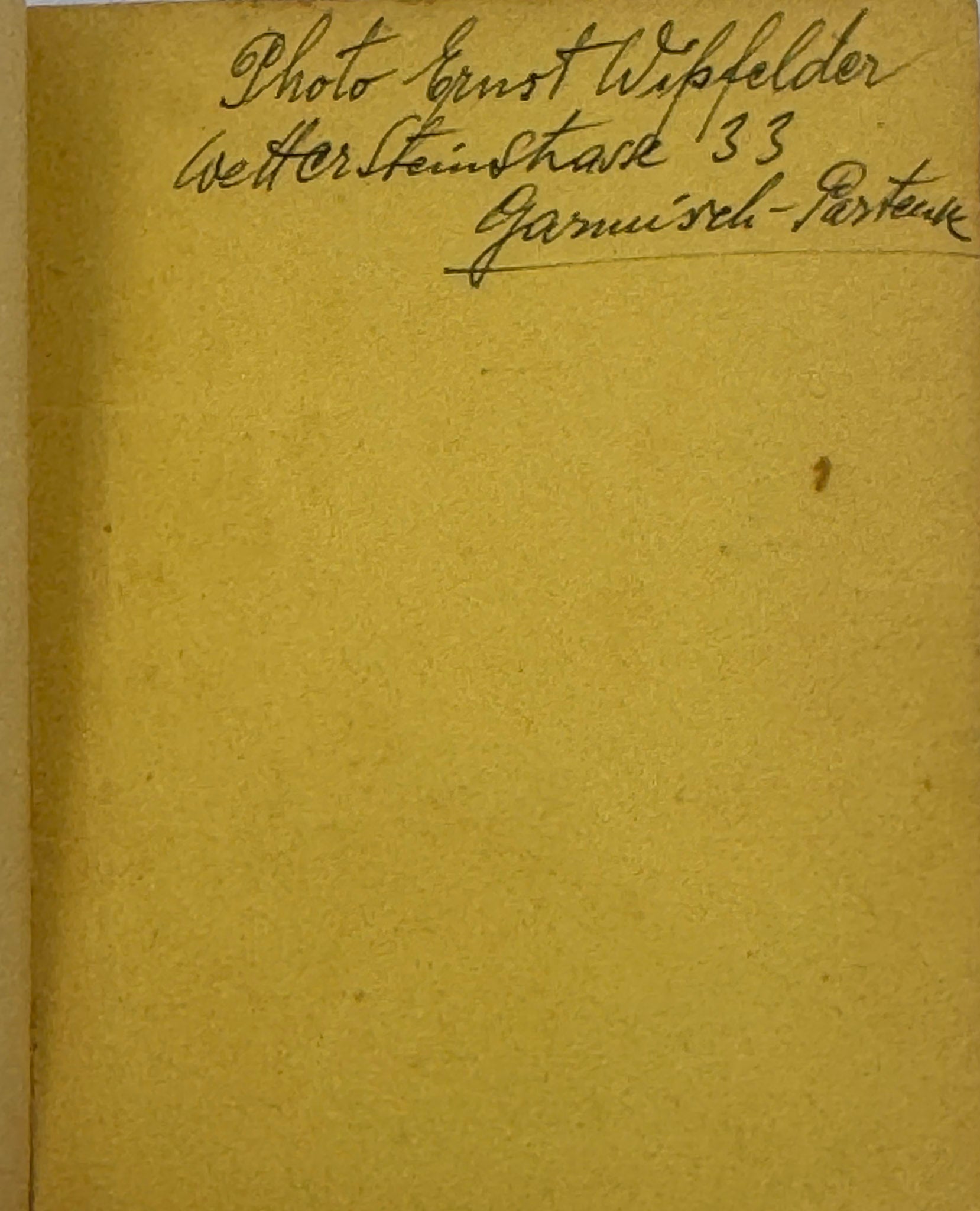 Aljechin - Euwe. Der Wettkampf um die Schachweltmeisterschaft 1935