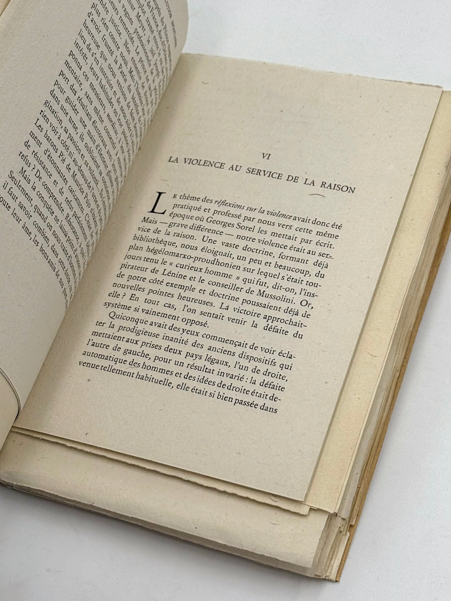 La contre-révolution spontanée. La recherche, la discussion, l'émeute 1899-1939