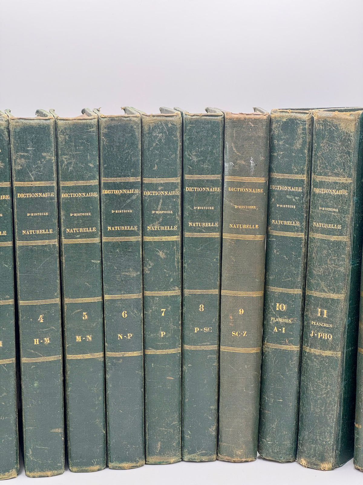 Dictionnaire pittoresque d'histoire naturelle
