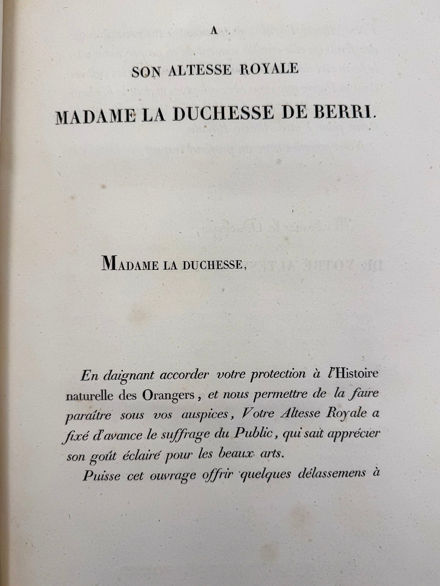 Histoire naturelle des orangers