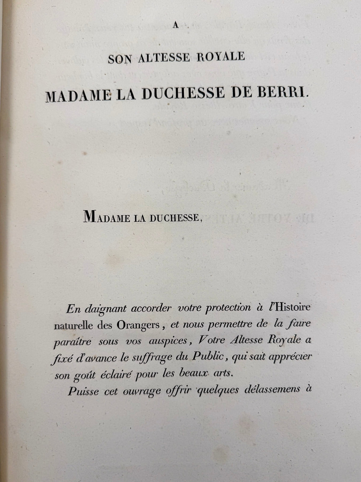 Histoire naturelle des orangers