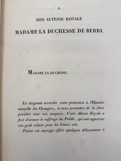 Histoire naturelle des orangers