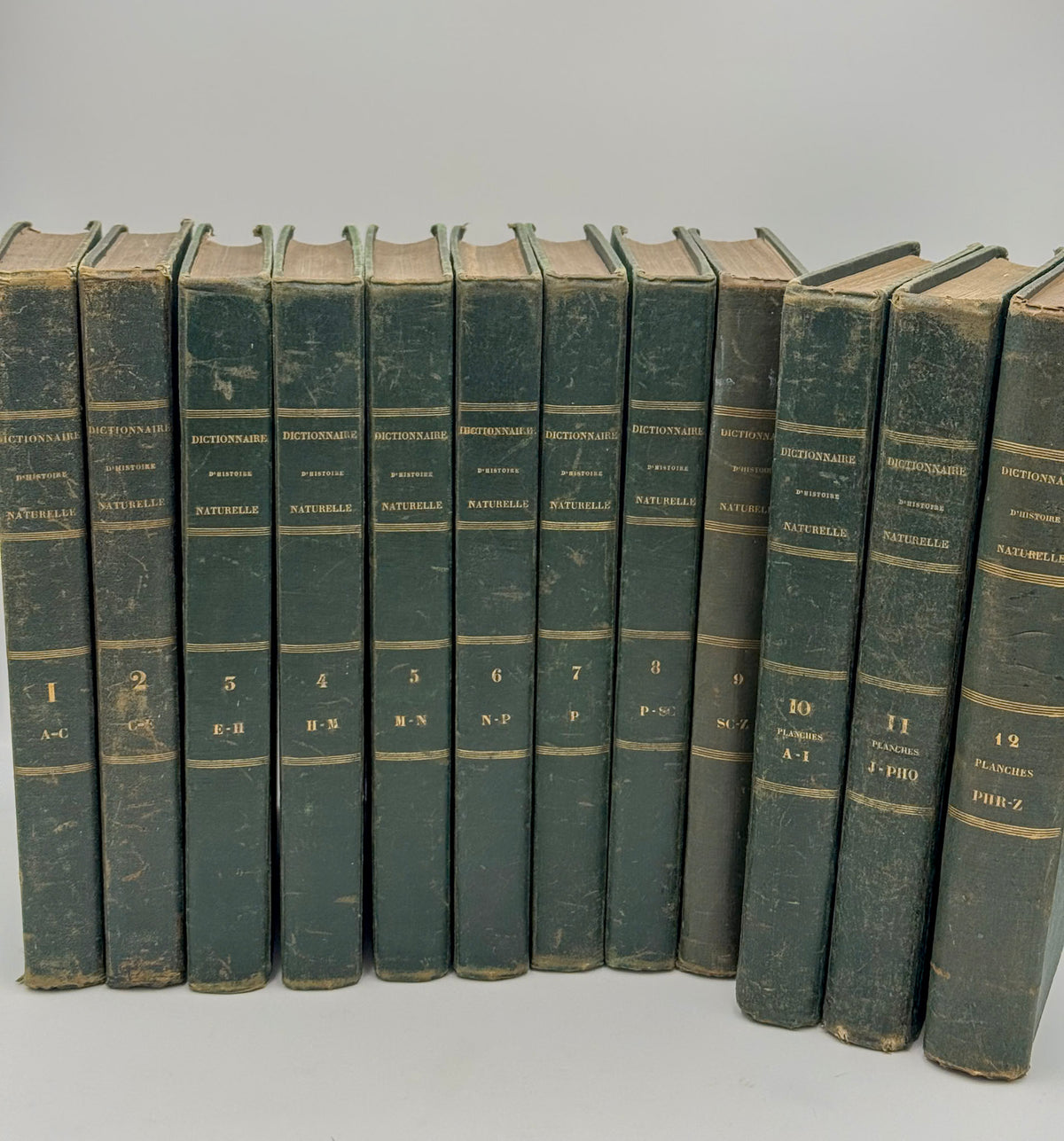 Dictionnaire pittoresque d'histoire naturelle