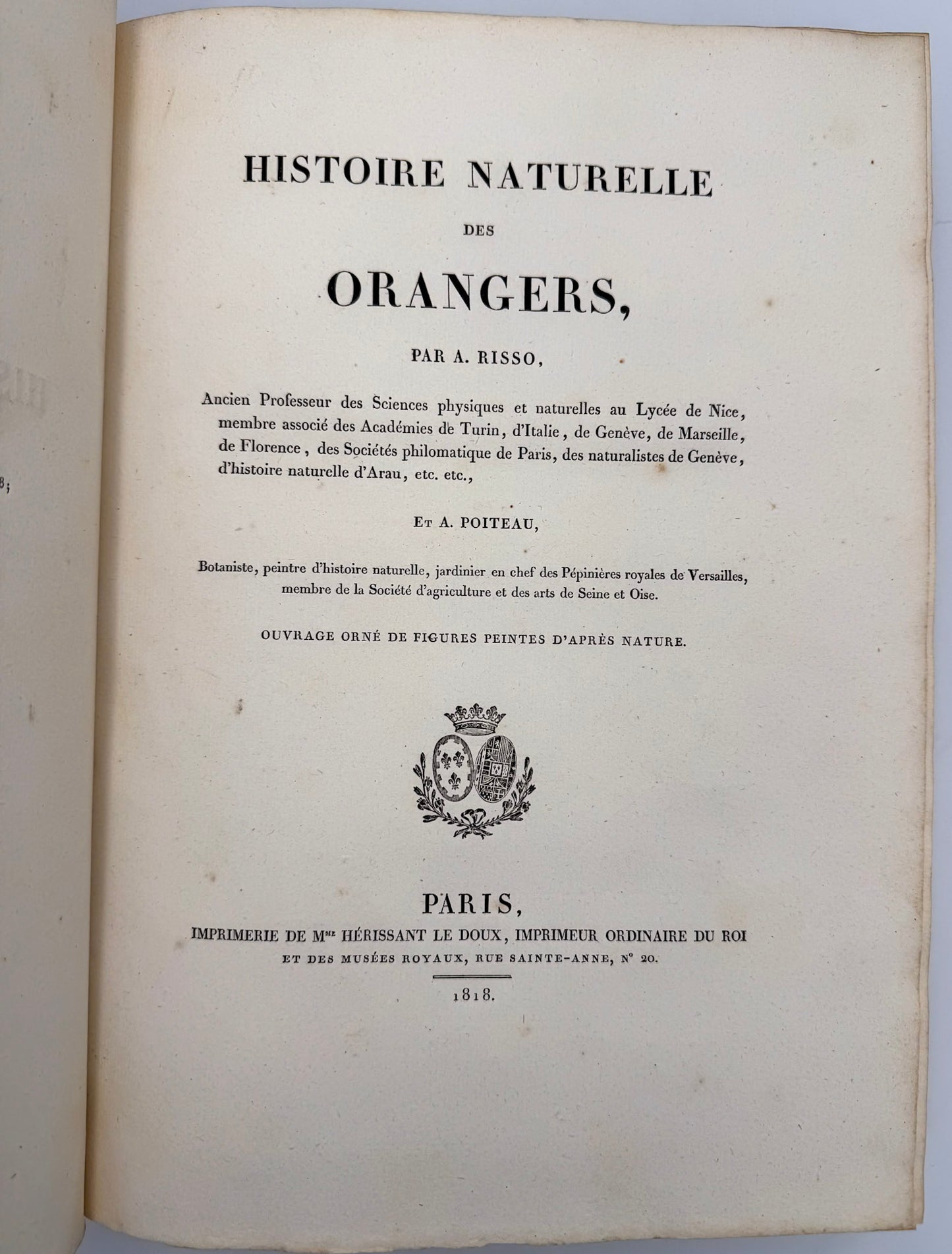 Histoire naturelle des orangers