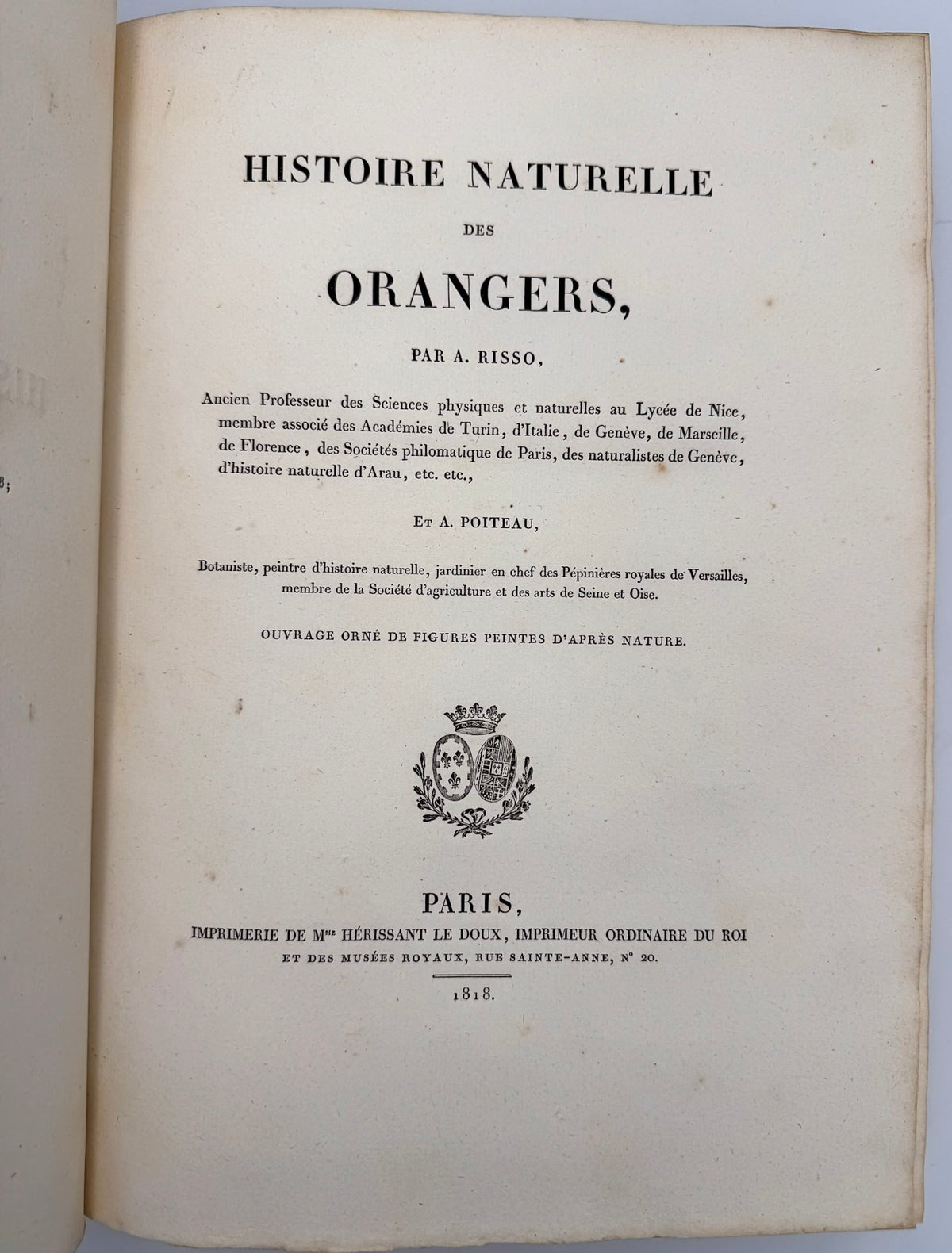 Histoire naturelle des orangers