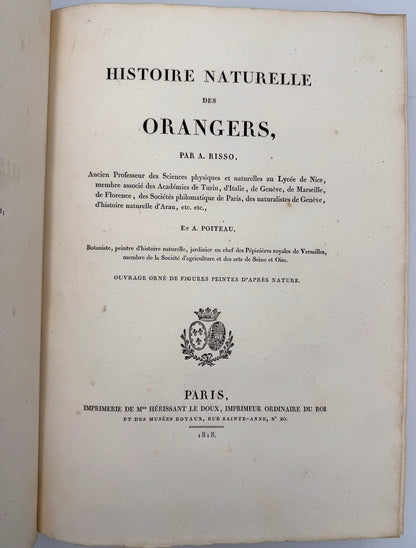 Histoire naturelle des orangers