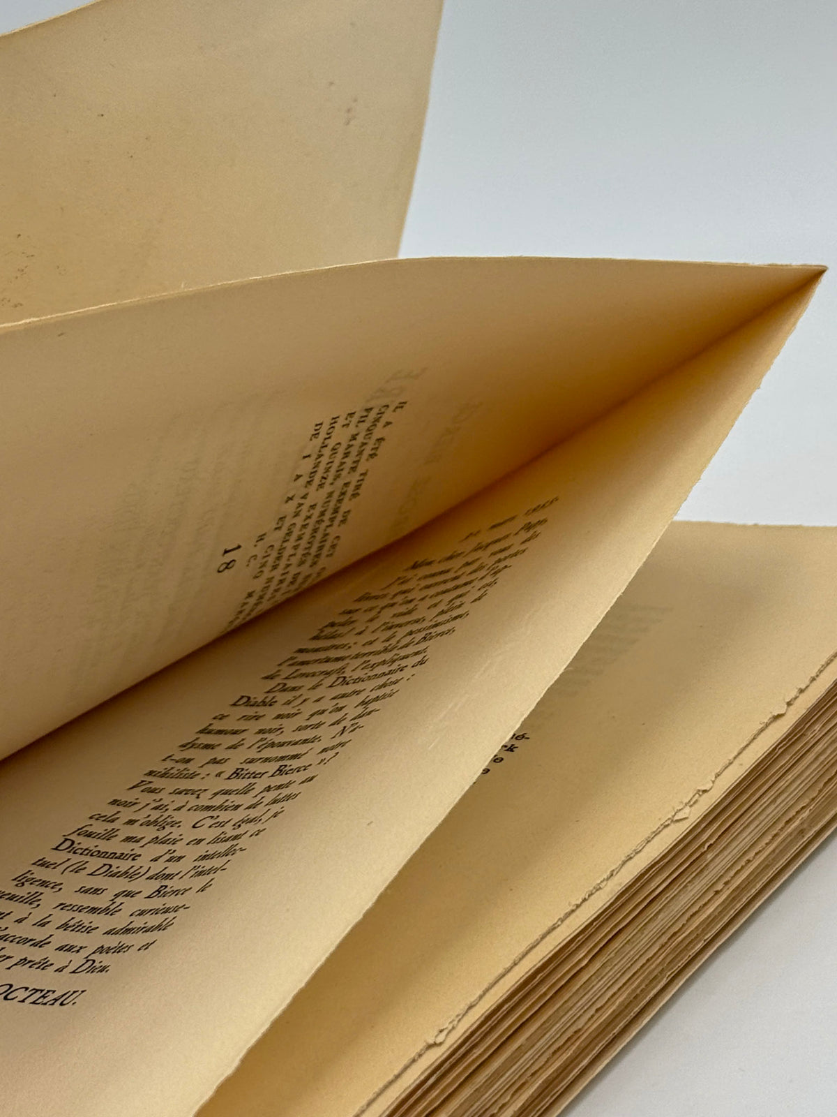 Le dictionnaire du diable