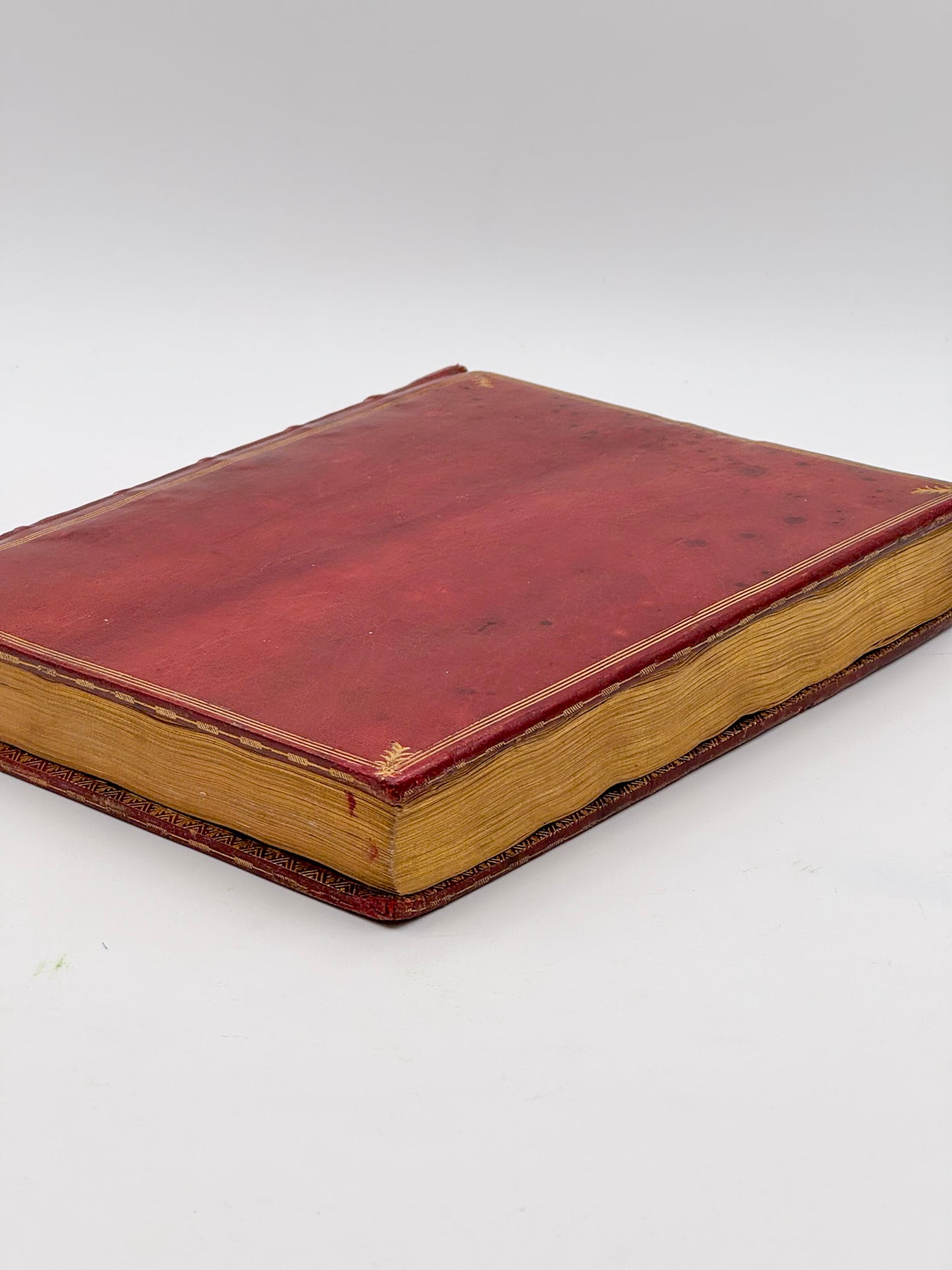 [MANUSCRIPT] Vie de Nicolas de Catinat Maréchal de France.