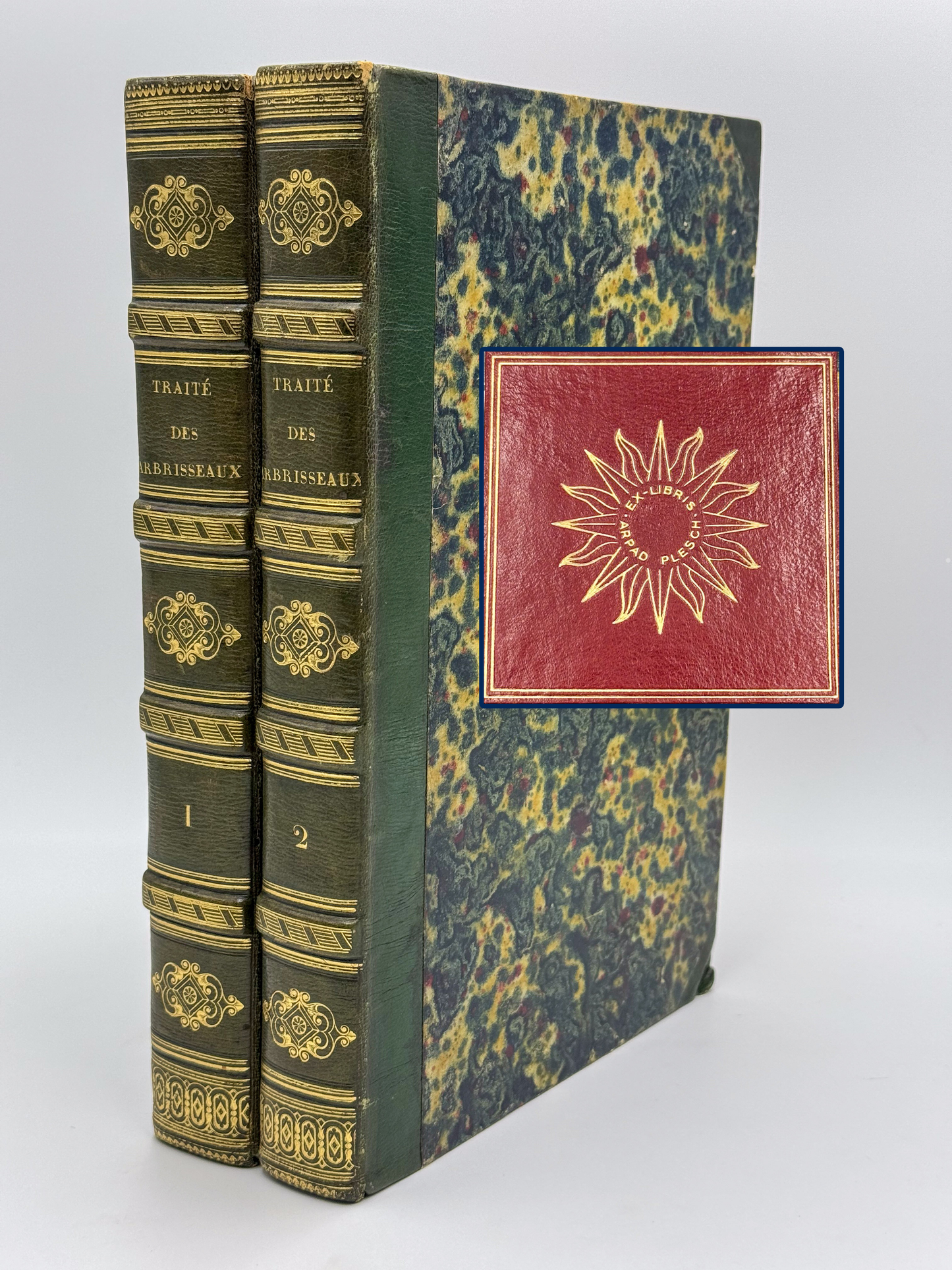 Traité des arbrisseaux et des arbustes cultivés en France et en pleine terre