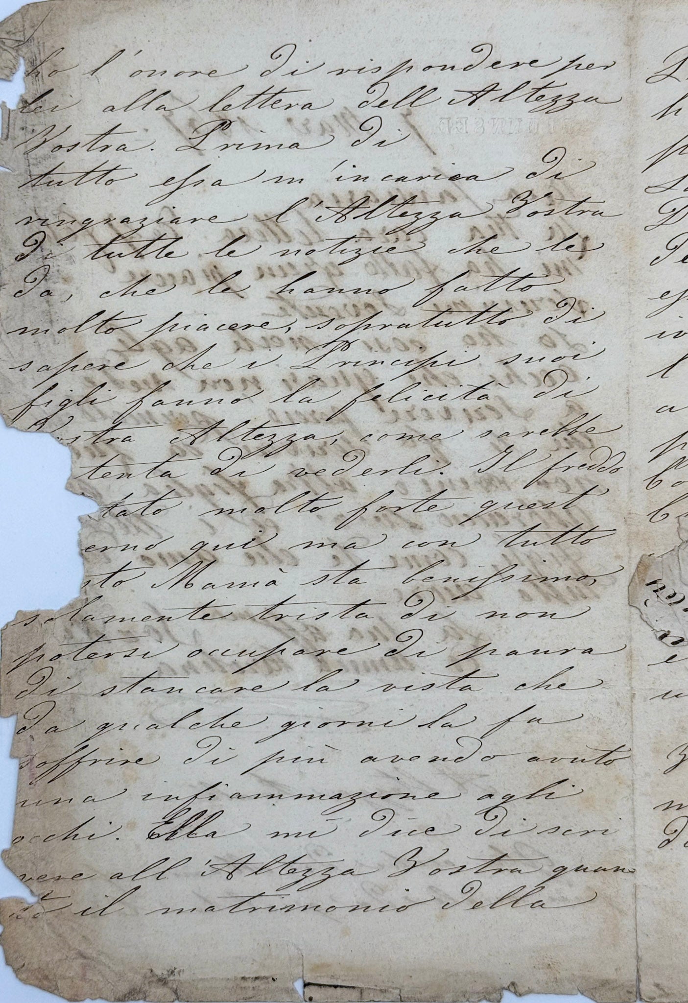 6 autograph letters signed from the Duchess of Berry to Dona Januaria of Braganza