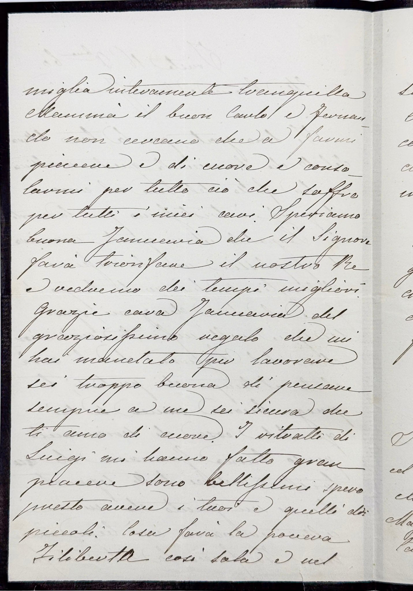 6 autograph letters signed from the Duchess of Berry to Dona Januaria of Braganza