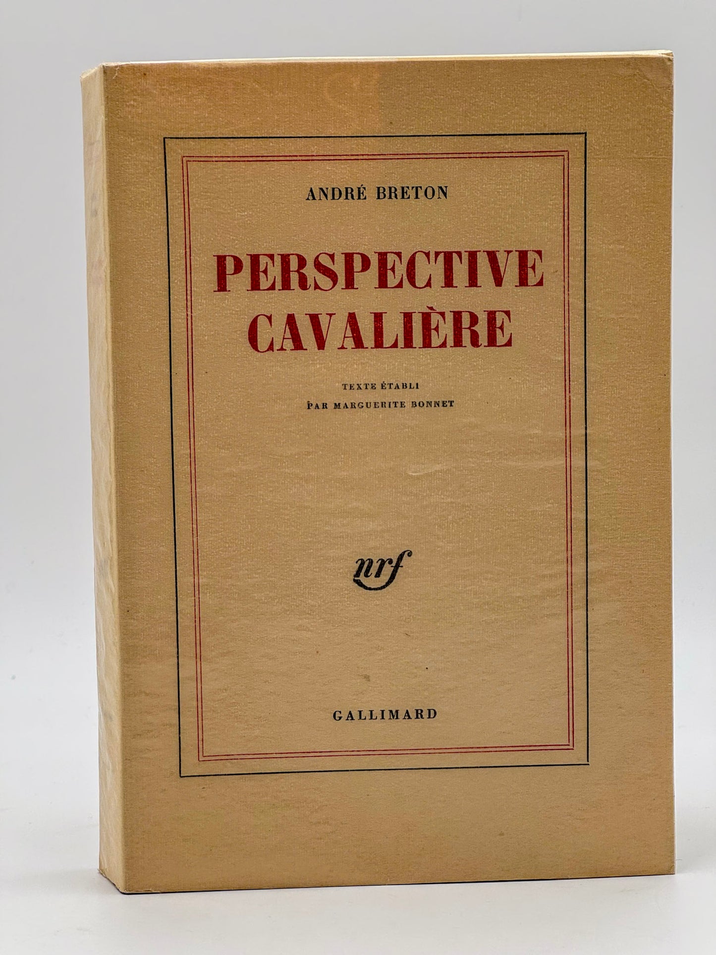 Perspective Cavalière