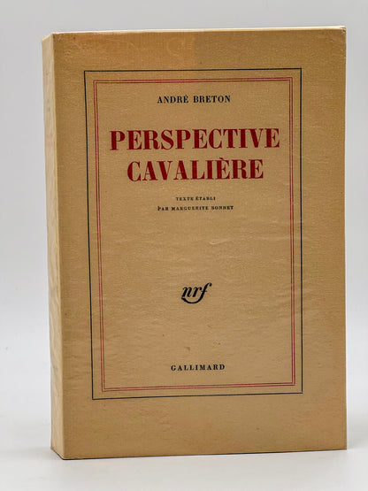 Perspective Cavalière