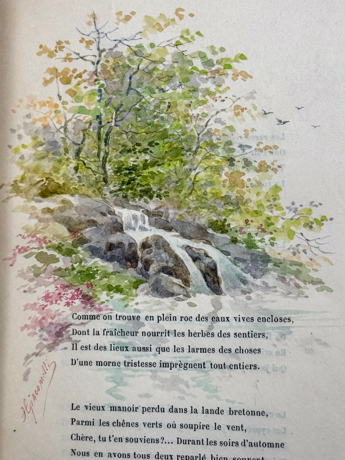 Les Œillets de Kerlaz