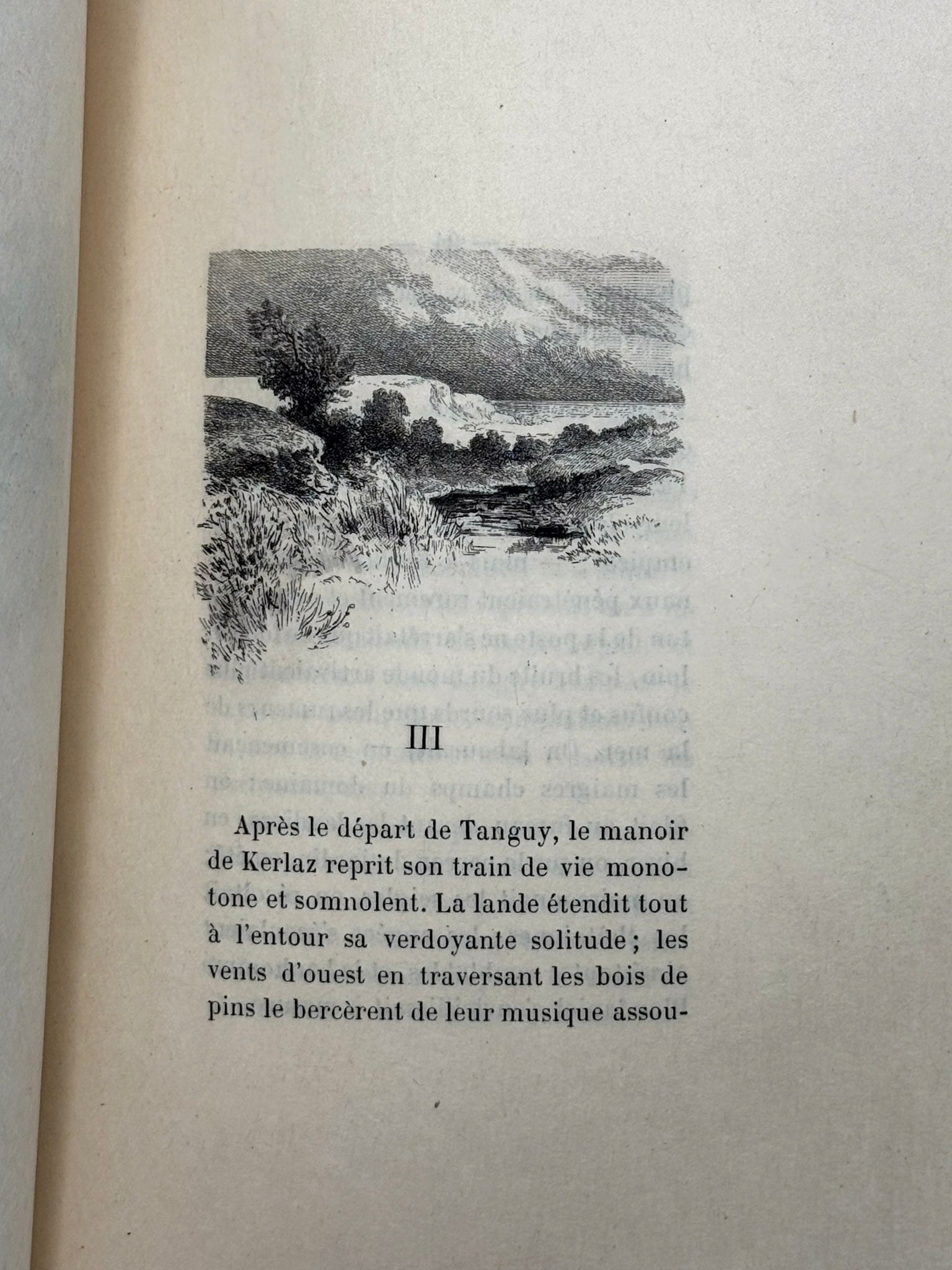 Les Œillets de Kerlaz
