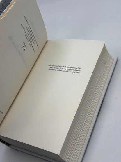 La possibilité d'une île