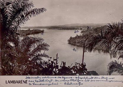 Autograph picture postcard signed, Albert Schweitzer to Denis Ewald