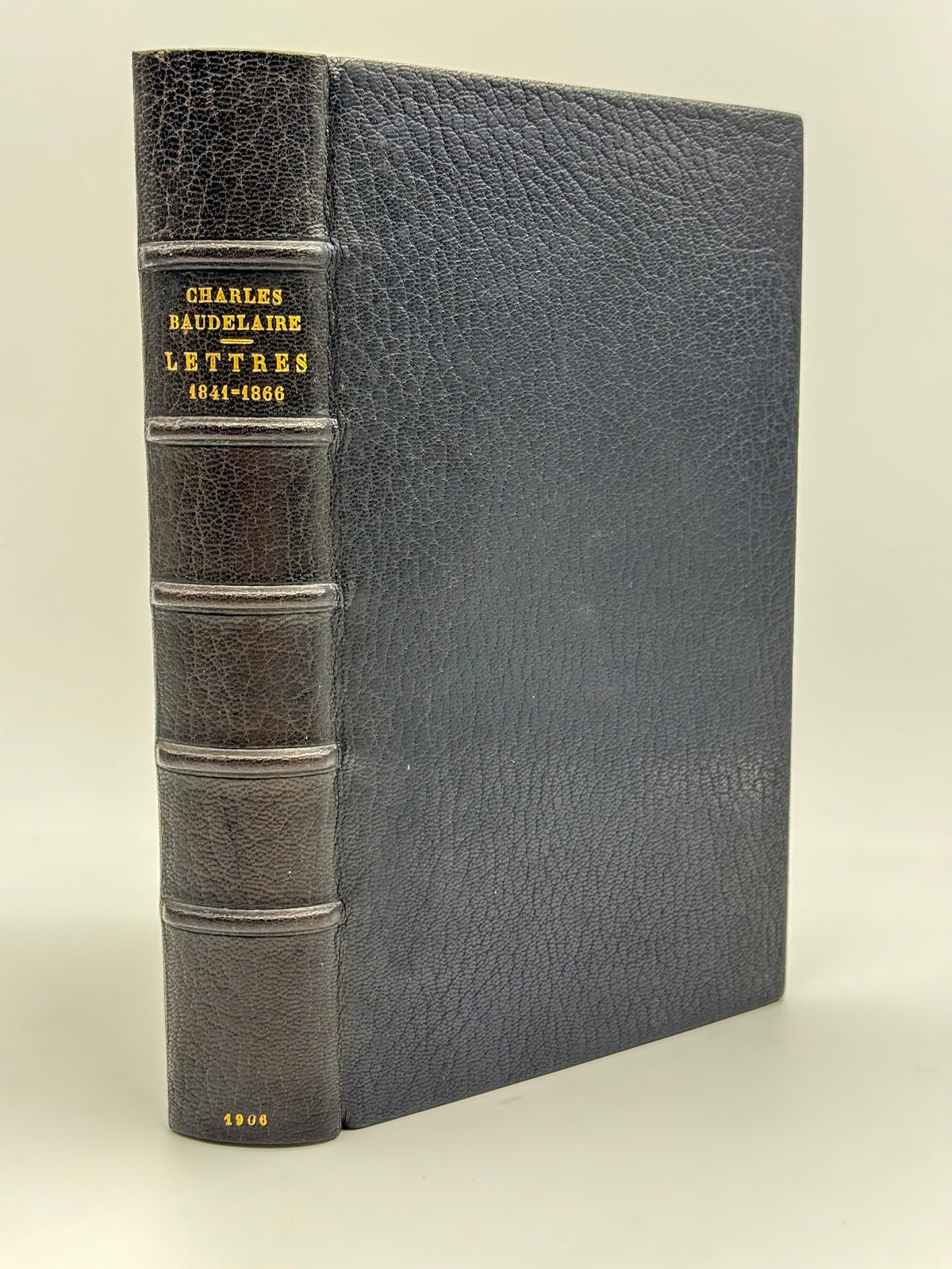 Lettres 1841-1866. Portrait en héliogravure