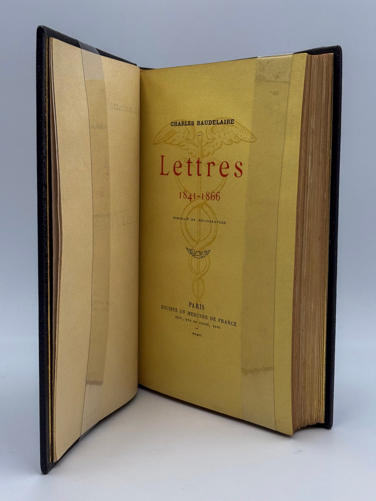 Lettres 1841-1866. Portrait en héliogravure